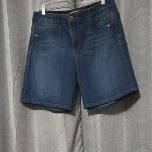 Democracy Dark Blue Jean Shorts